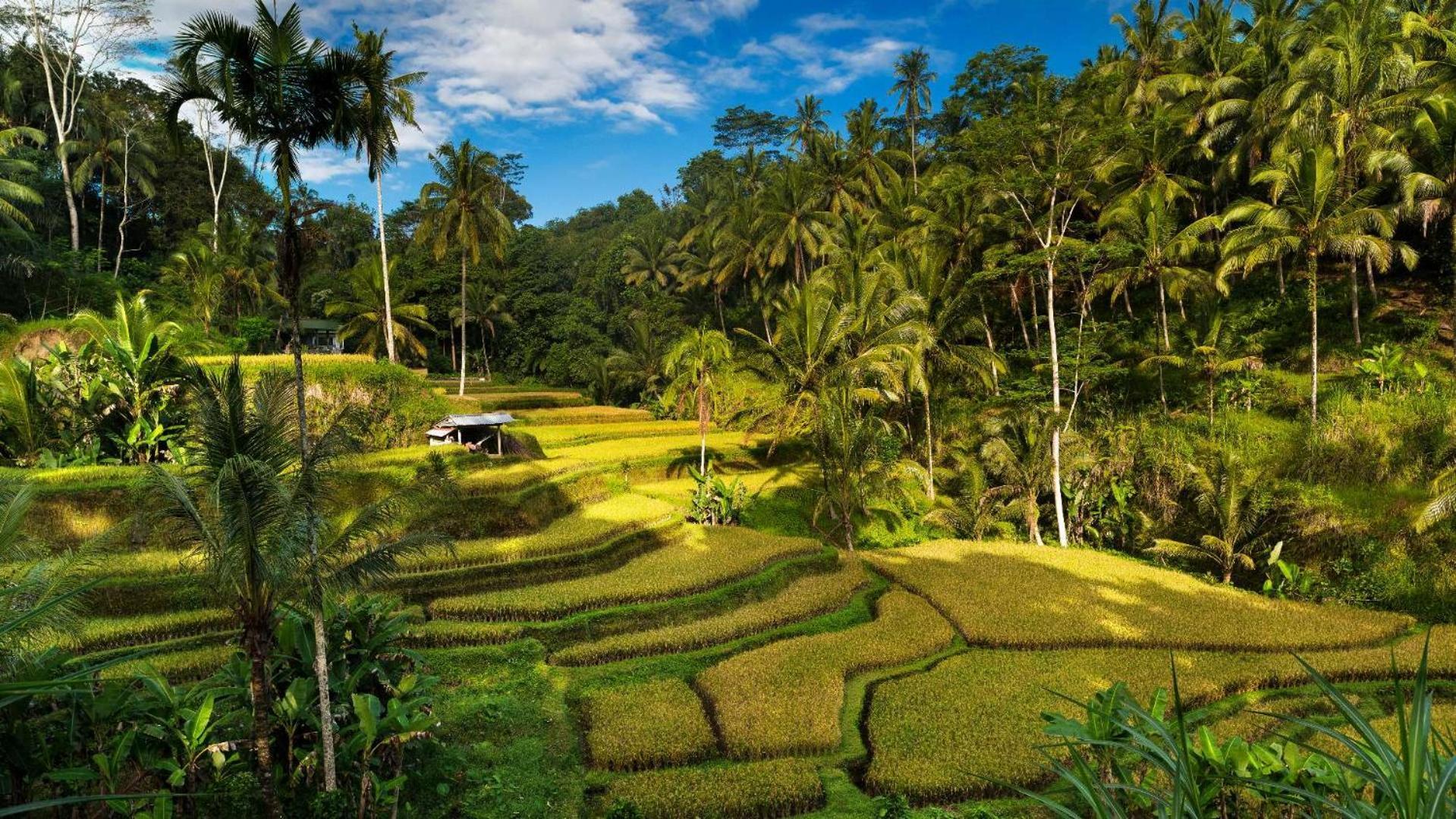 Villa Sary Akar Payangan Exterior foto