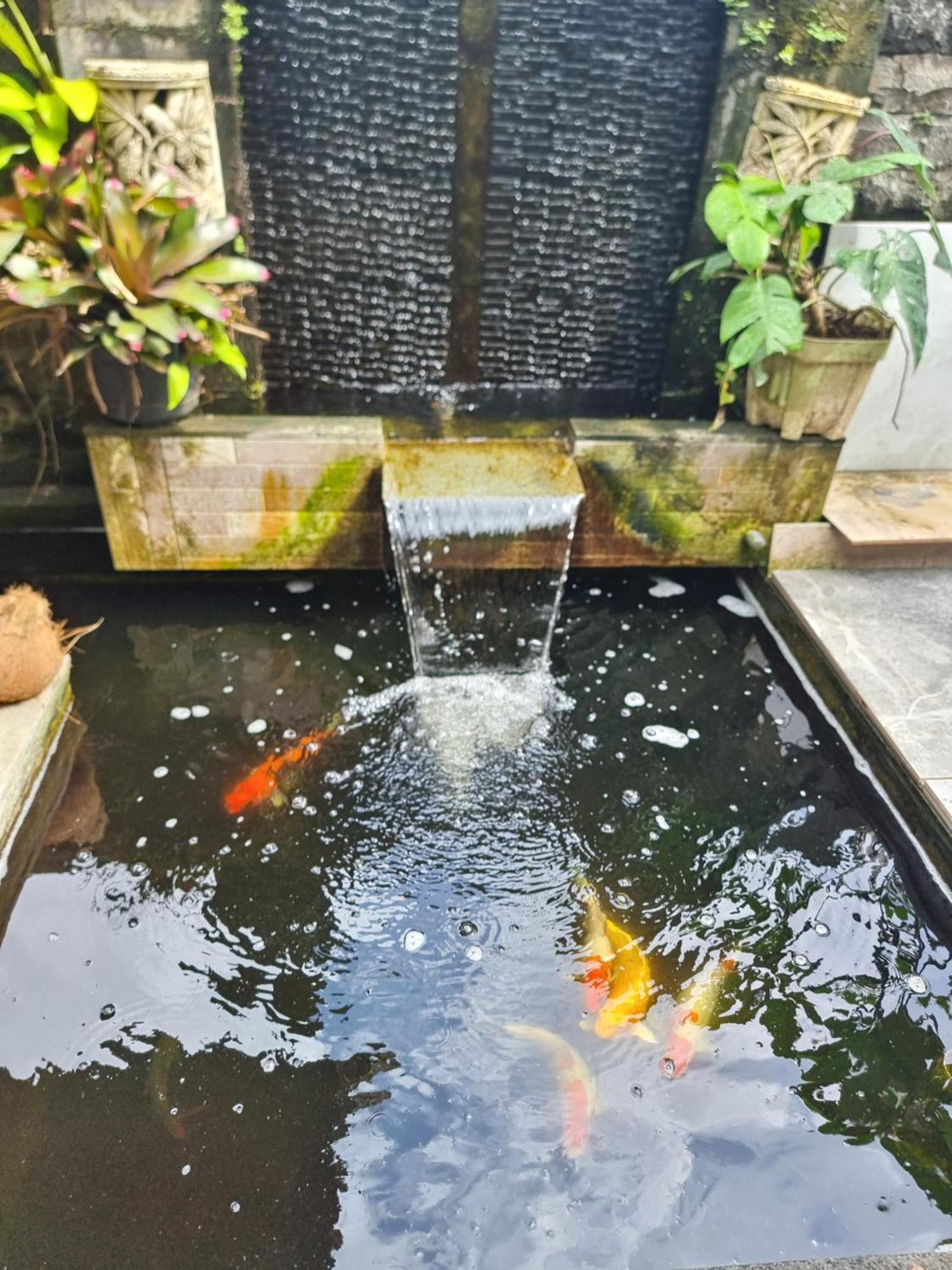 Villa Sary Akar Payangan Exterior foto